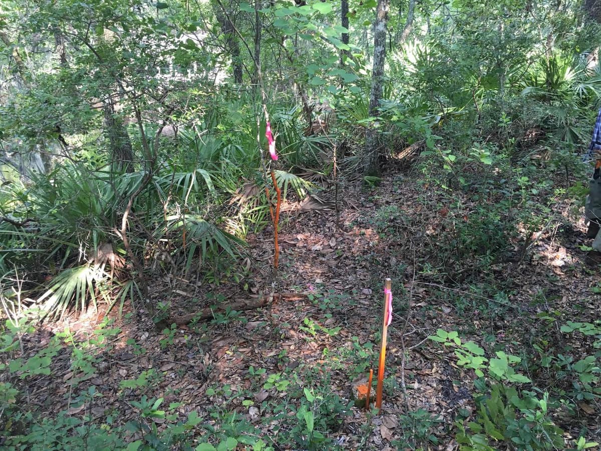 00 BLACK CREEK TRACT, Middleburg, FL 32068 3
