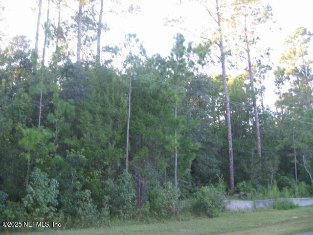 0 OWENS Road, Jacksonville, FL 32218 3