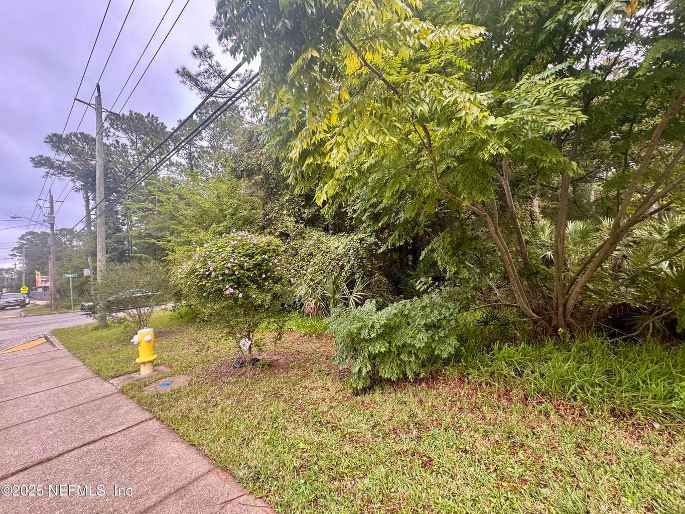 1167 KING Street, St. Augustine, FL 32084