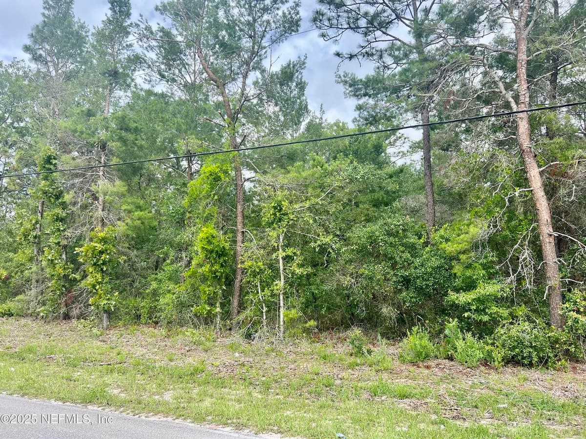 00 SE 3RD Avenue, Keystone Heights, FL 32656 3