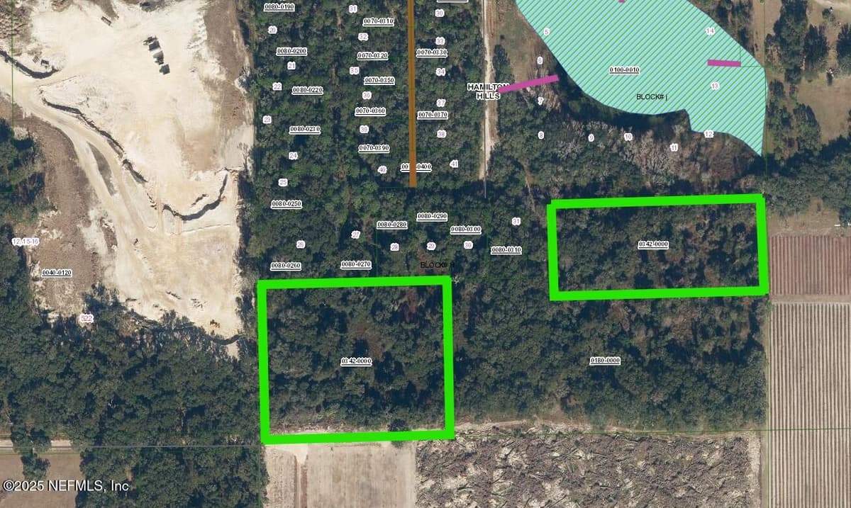 00 MANGROVE Street, Pomona Park, FL 32181 2