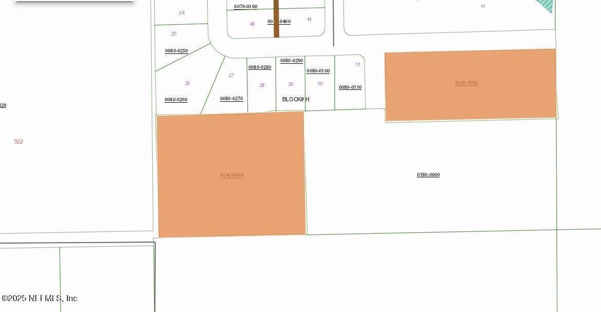 00 MANGROVE Street, Pomona Park, FL 32181 3