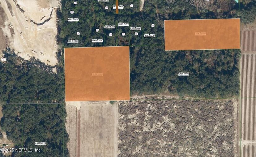 00 MANGROVE Street, Pomona Park, FL 32181