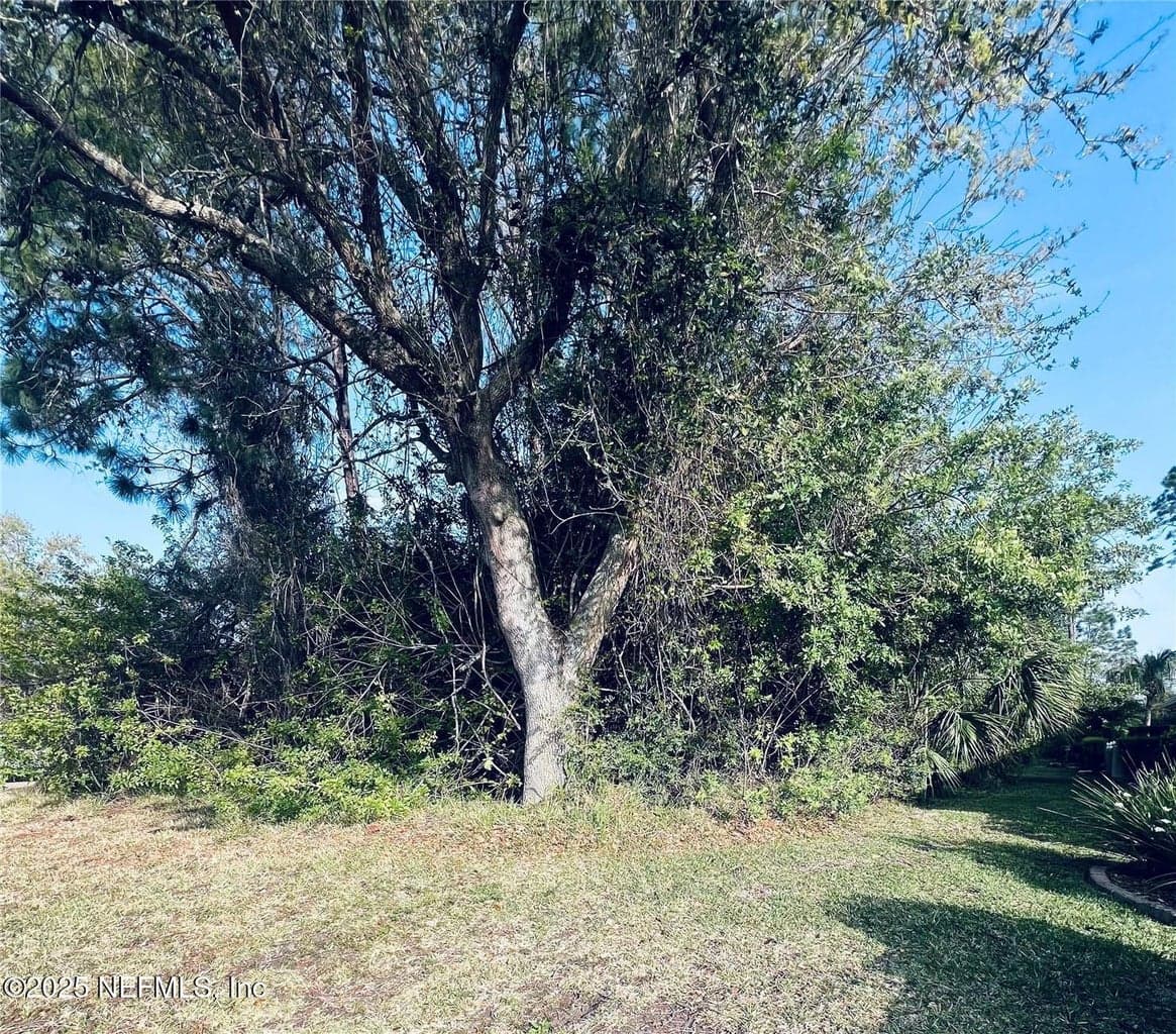 91 EMERALD LAKE Drive, Palm Coast, FL 32137 2