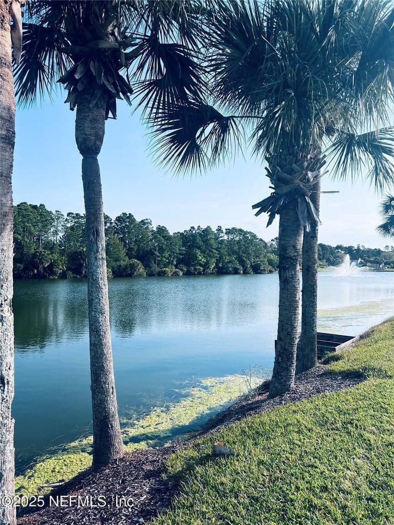 91 EMERALD LAKE Drive, Palm Coast, FL 32137 3