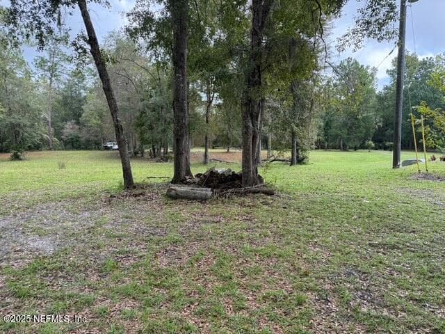 0 SKIPPER Road, Middleburg, FL 32068, Middleburg, FL - photo 3