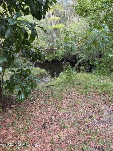 0 SKIPPER Road, Middleburg, FL 32068 2