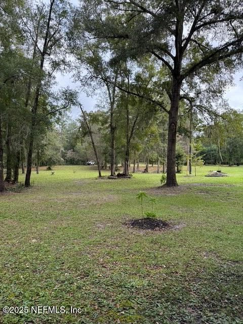0 SKIPPER Road, Middleburg, FL 32068