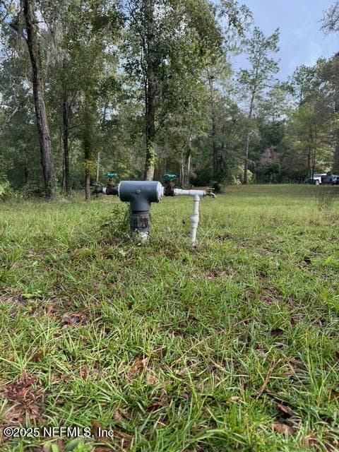 0 SKIPPER Road, Middleburg, FL 32068 3