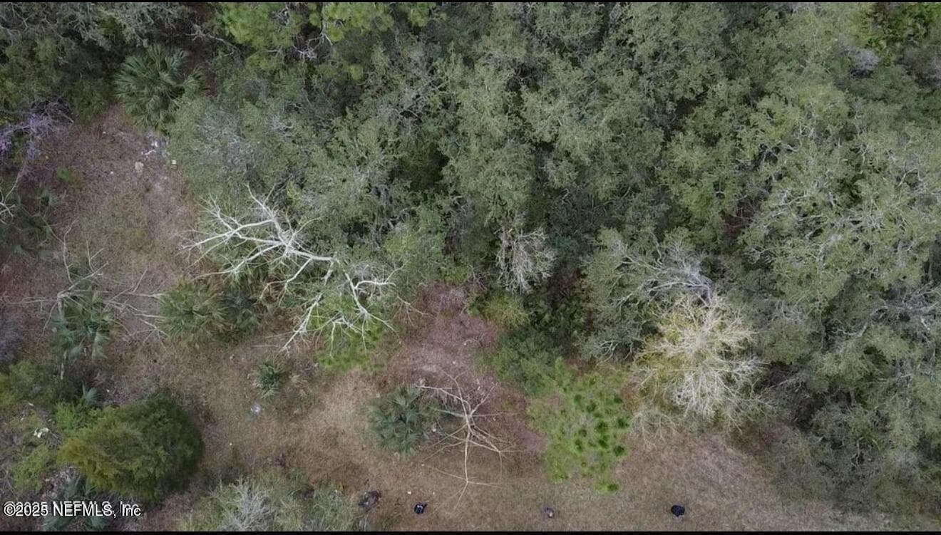 0000 UNASSIGNED, East Palatka, FL 32131