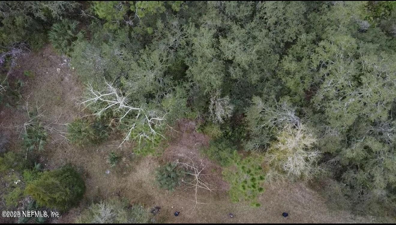 133 PIONEER Trail, Palatka, FL 32177