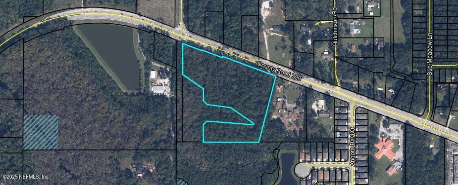 2841 COUNTY ROAD 220, Middleburg, FL 32068, Middleburg, FL - photo 2