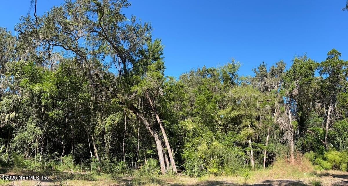 958 PANTANO Drive, St. Augustine, FL 32095 3