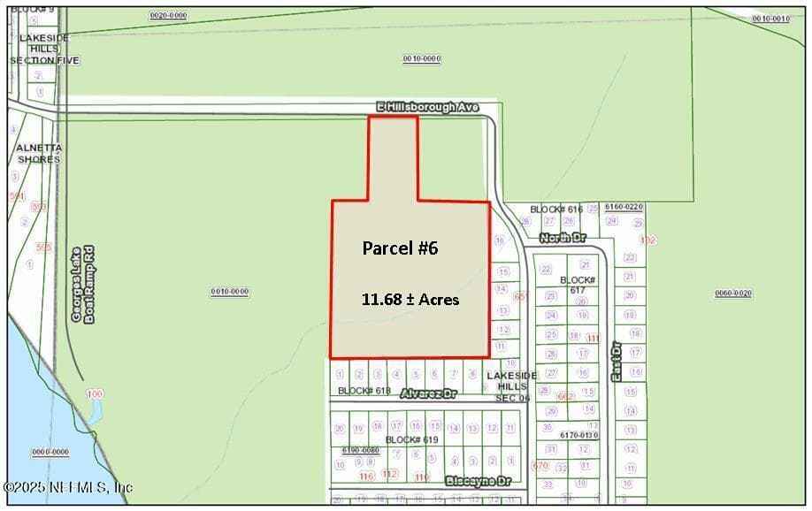 PARCEL 6 E HILLSBOROUGH Avenue, Florahome, FL 32140 2