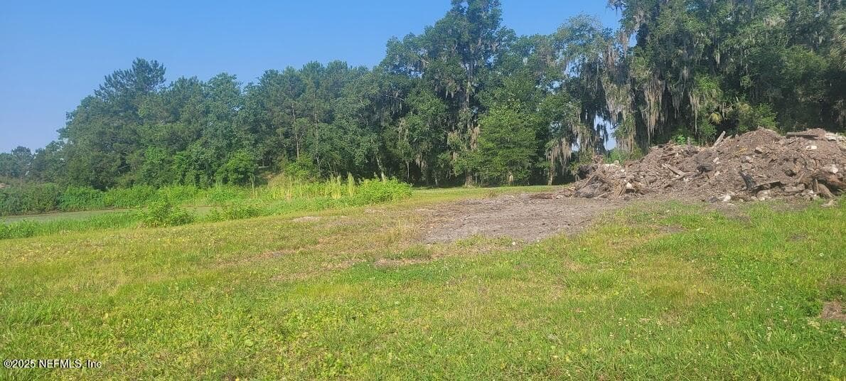 0 ROSEHILL Avenue, Green Cove Springs, FL 32043 2