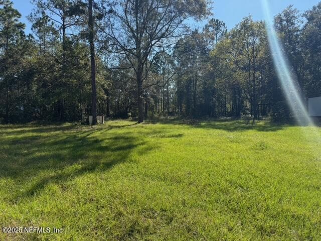 86 MELANIE Lane, Middleburg, FL 32068 3