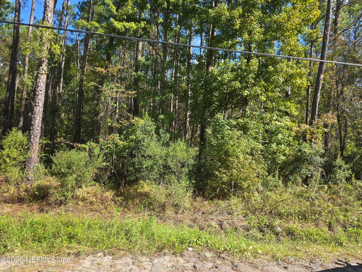 0 MCLAURIN Road E, Jacksonville, FL 32256 2