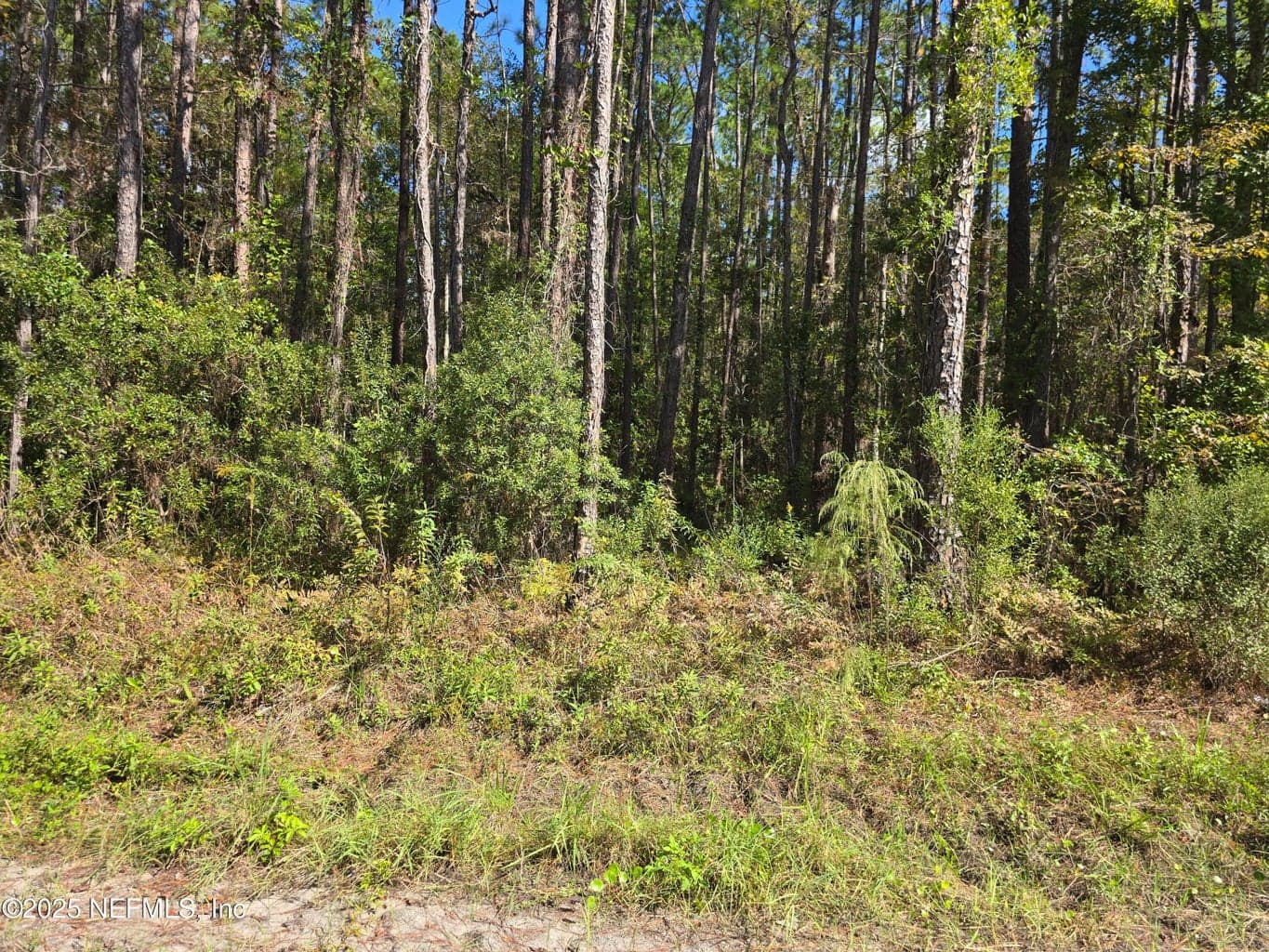 0 MCLAURIN Road E, Jacksonville, FL 32256