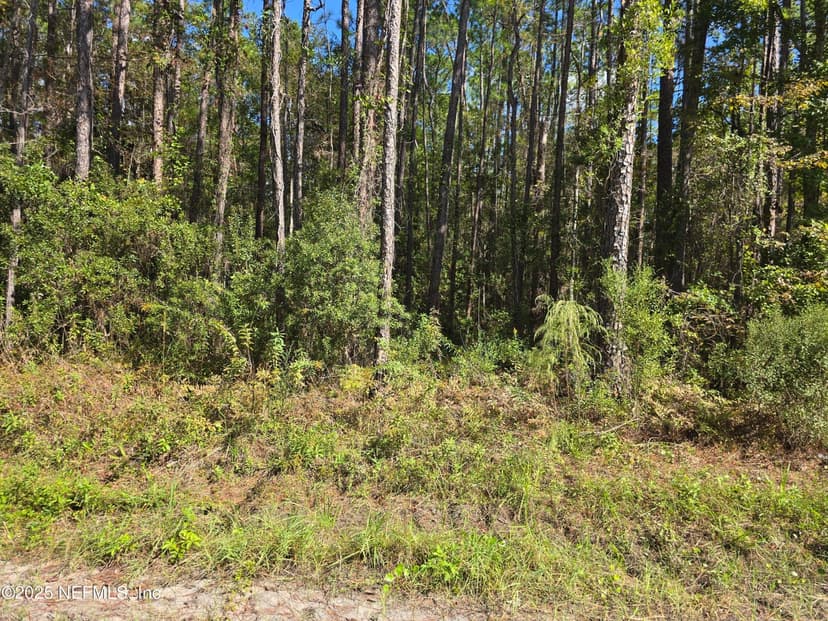 0 MCLAURIN Road E, Jacksonville, FL 32256
