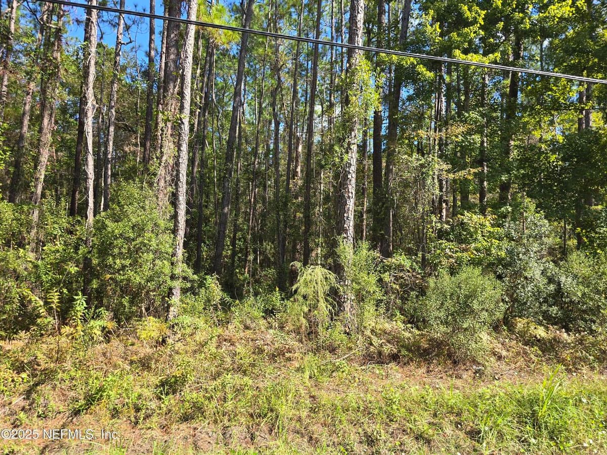 0 MCLAURIN Road E, Jacksonville, FL 32256 3