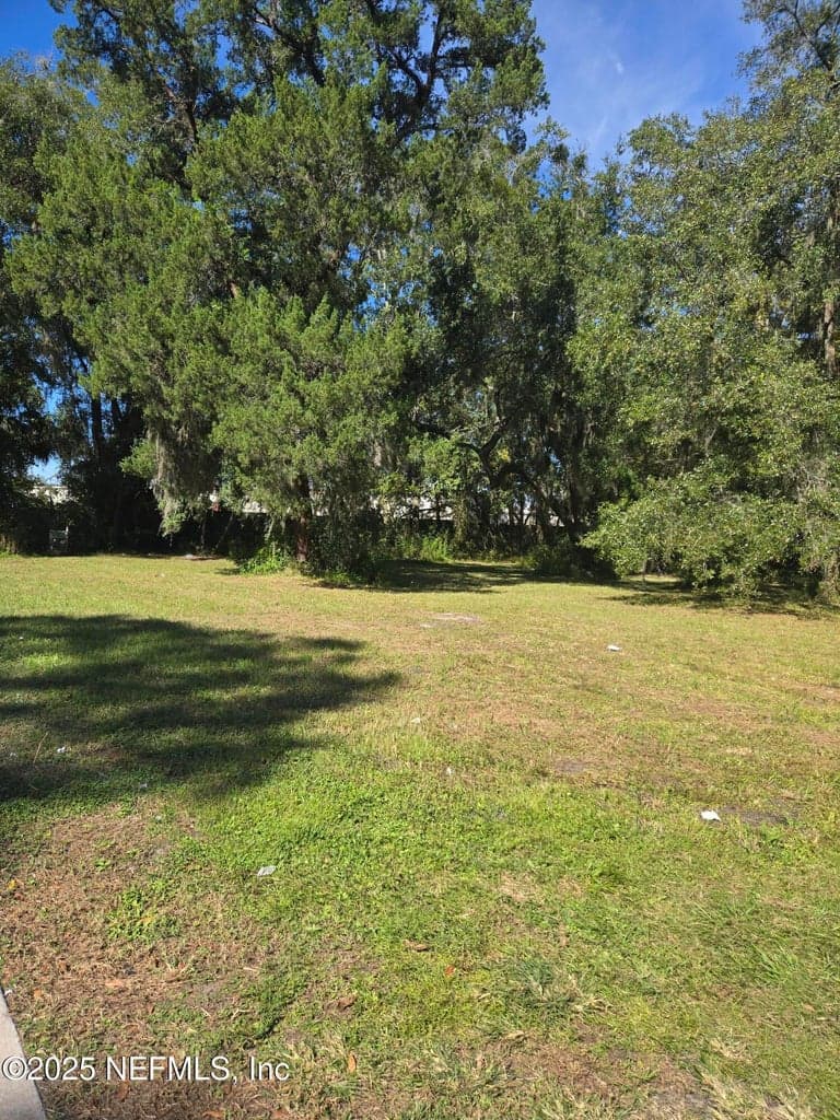 0 LENOX Avenue, Jacksonville, FL 32205 3