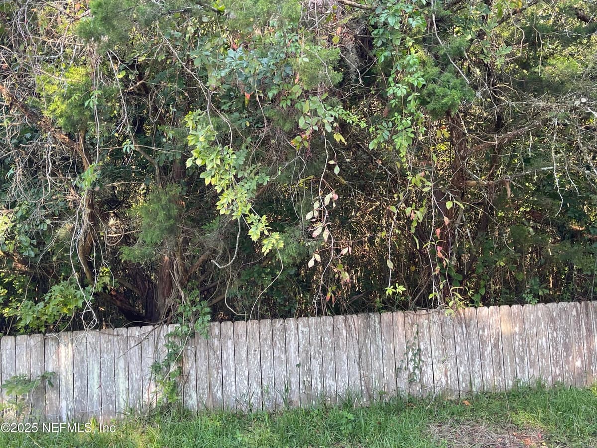 3159 DOTHAN Road, Green Cove Springs, FL 32043 2