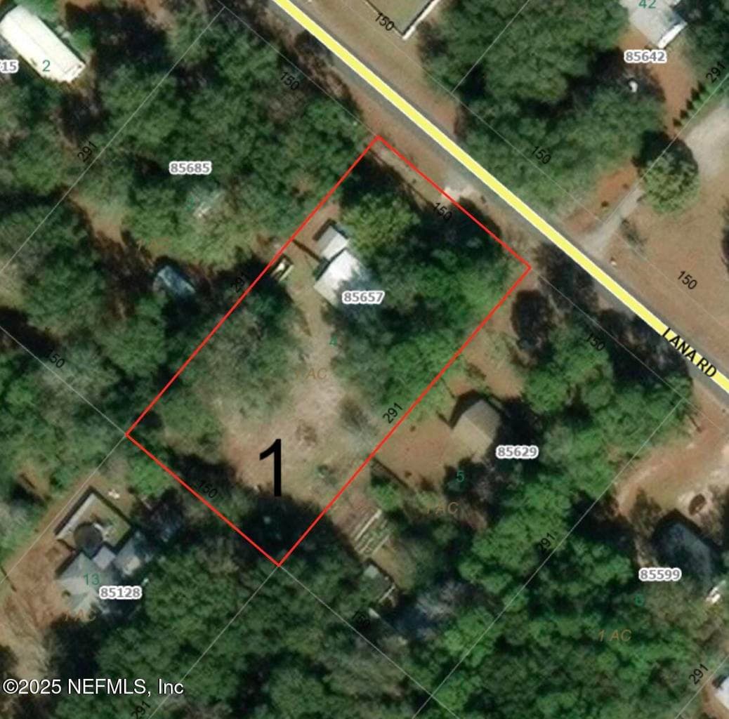 85657 LANA Road, Yulee, FL 32097
