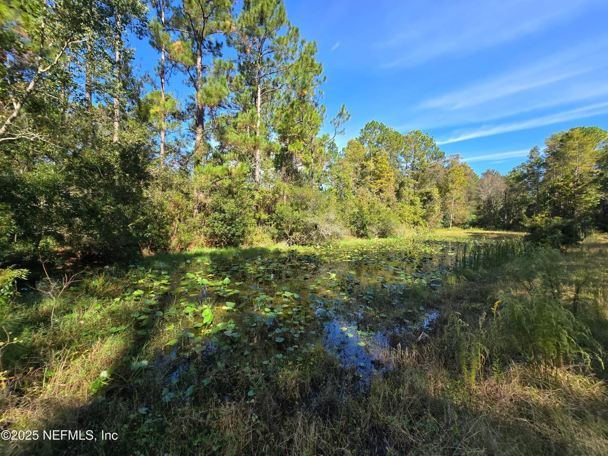 3163 LANNIE Road, Jacksonville, FL 32218 2