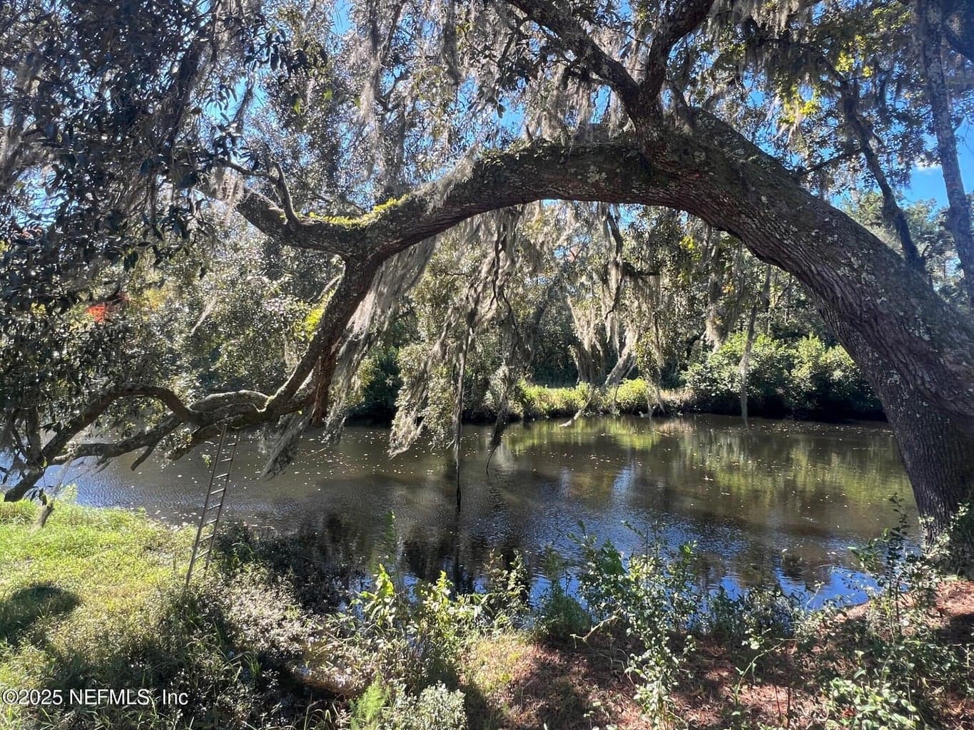4299 HAWK HAVEN Road, Middleburg, FL 32068