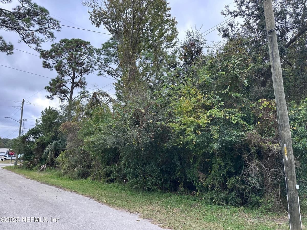 0 W DUTTON ISLAND Road, Atlantic Beach, FL 32233 3
