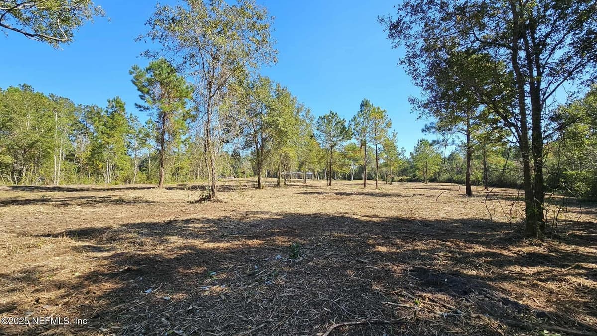 17539 HODGES Road, Hilliard, FL 32046 3