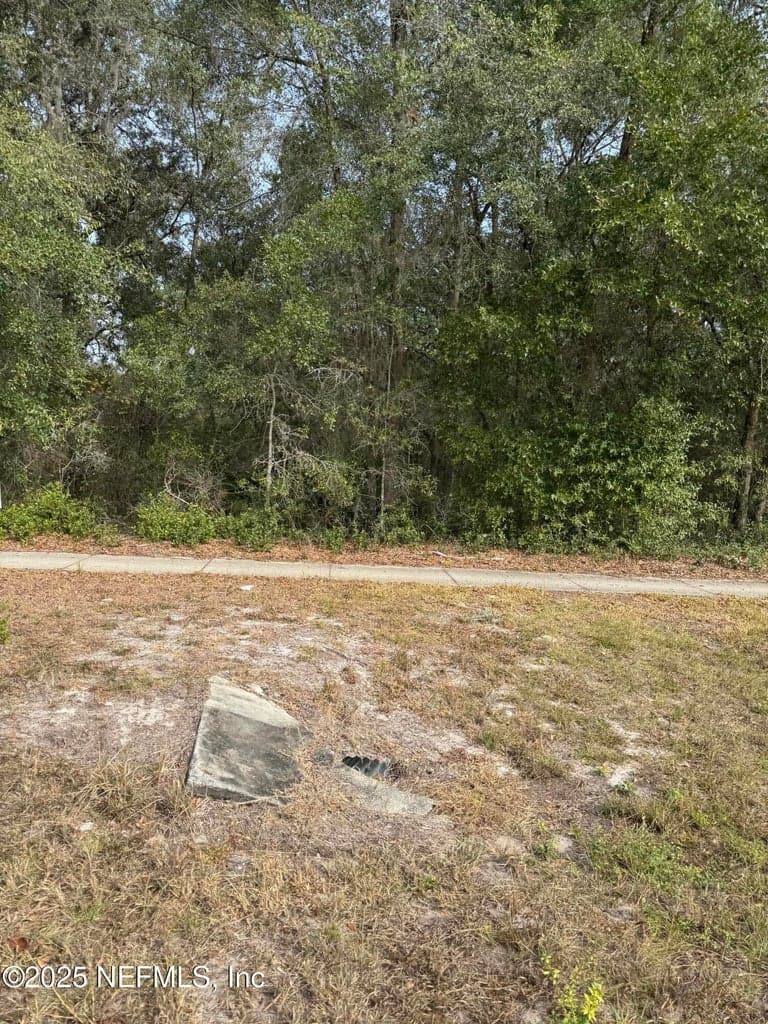 1682 S HIGHWAY 17 S, Pomona Park, FL 32181 2