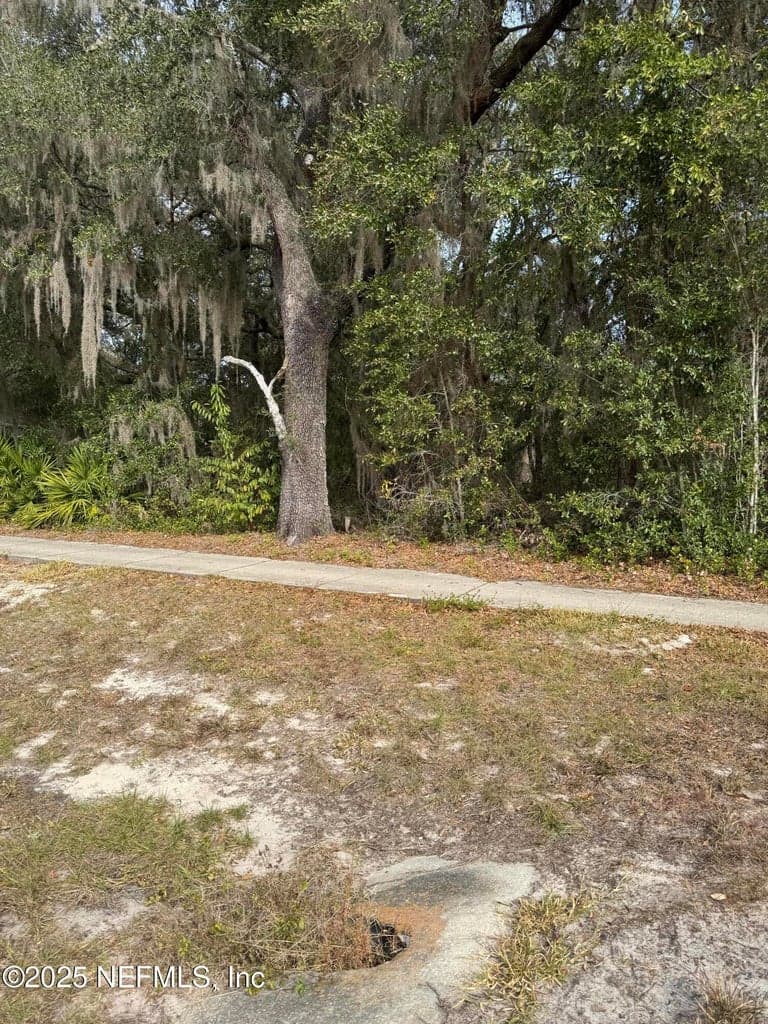 1682 S HIGHWAY 17 S, Pomona Park, FL 32181 3