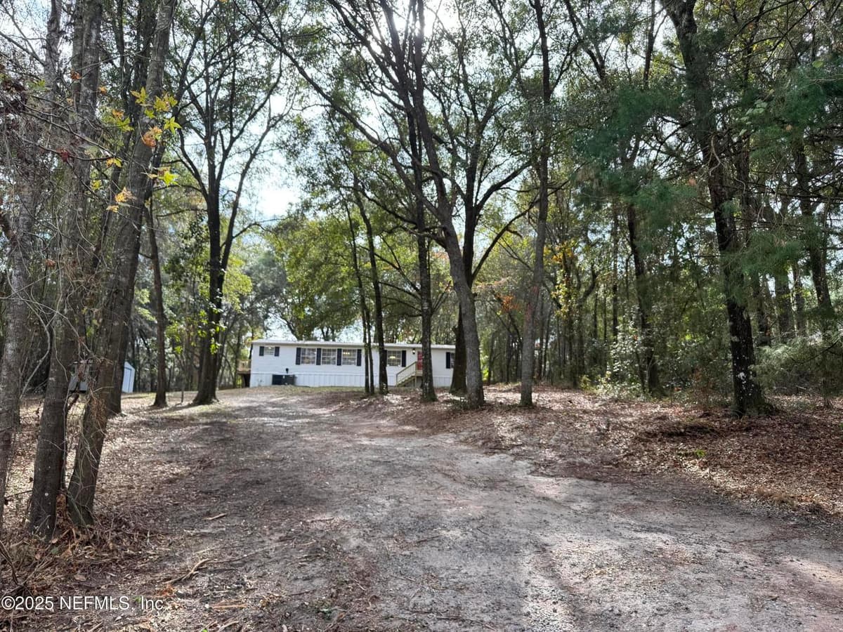 66 PANDA Avenue, Middleburg, FL 32068 2