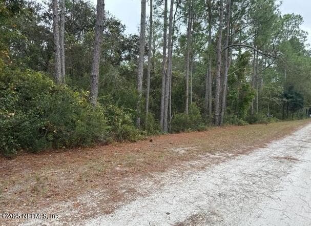 307 LAKEWAY Drive, Georgetown, FL 32139