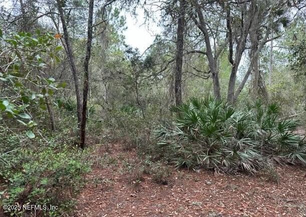 307 LAKEWAY Drive, Georgetown, FL 32139 2