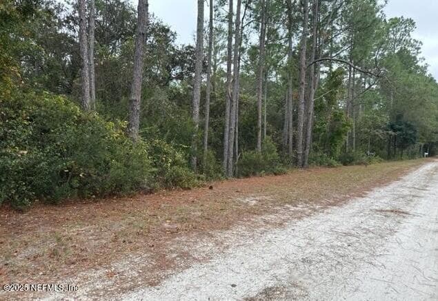 307 LAKEWAY Drive, Georgetown, FL 32139 3
