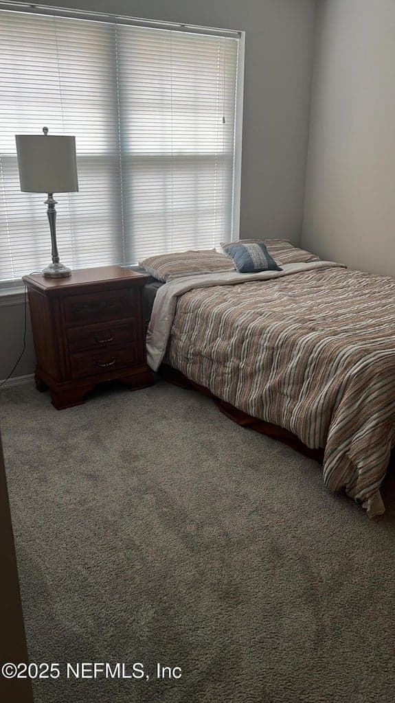 13810 SUTTON PARK Drive N 521, Jacksonville, FL 32224 3