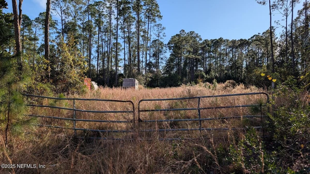 113 WHITE PINE Lane, Georgetown, FL 32139 2