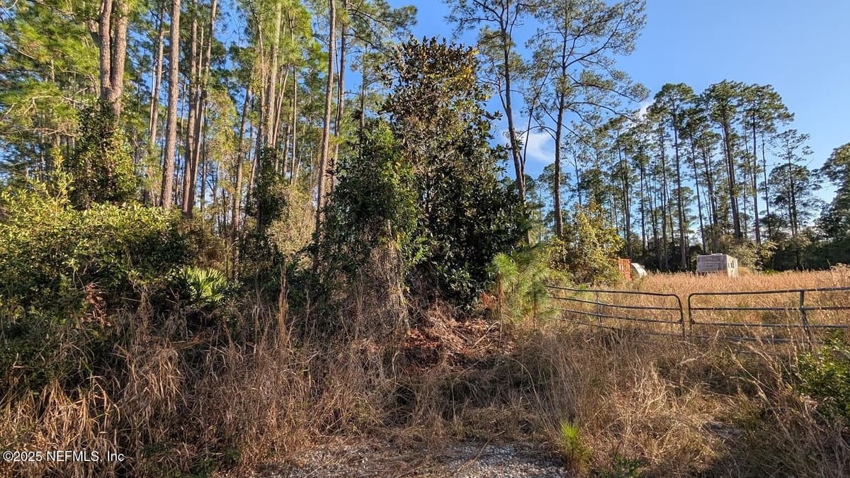 113 WHITE PINE Lane, Georgetown, FL 32139 3
