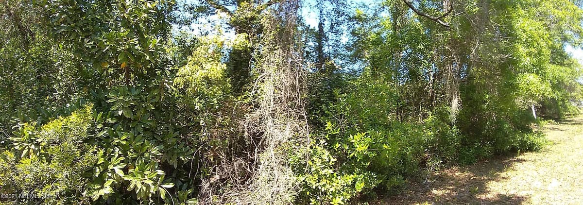 5627 GILCHRIST Road, Jacksonville, FL 32219 2