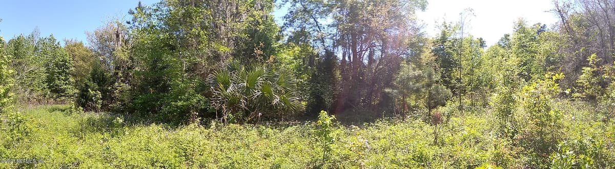 5627 GILCHRIST Road, Jacksonville, FL 32219 3
