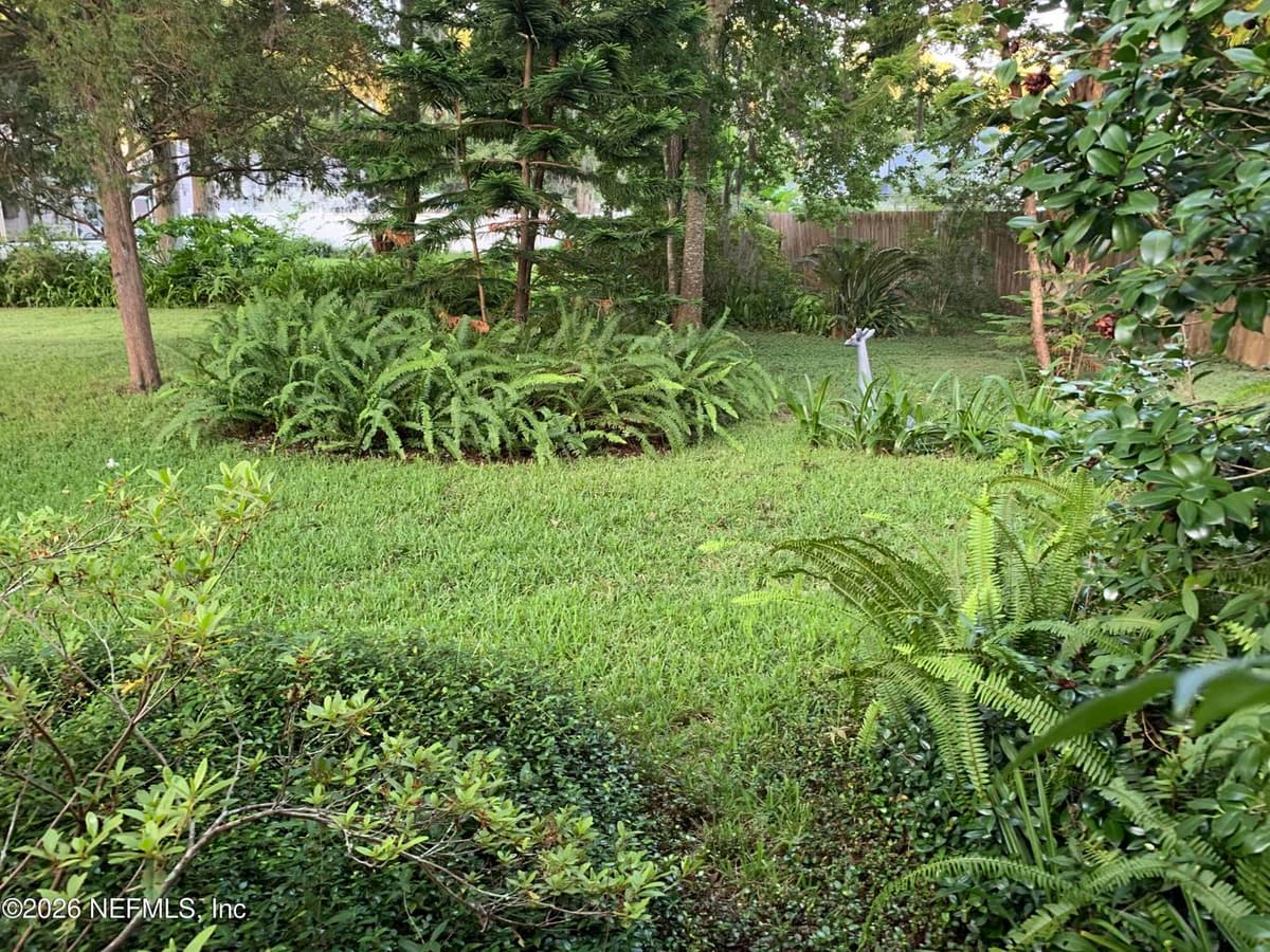 4846 DOVETREE Lane, Jacksonville, FL 32225 2
