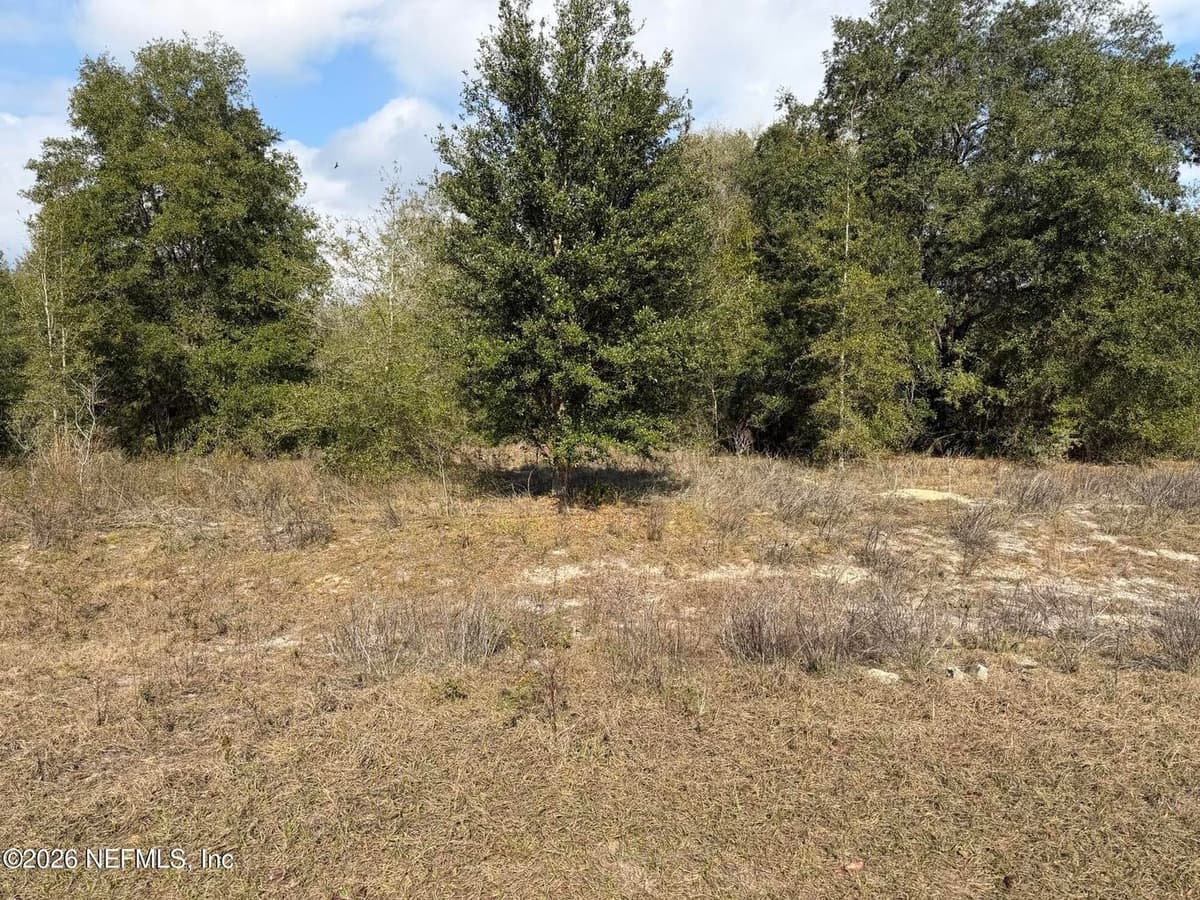 L5 BLK28 YELLOWSTONE Street, Keystone Heights, FL 32656 2