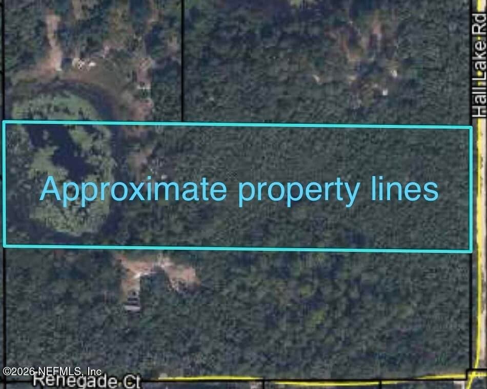 0 HALL LAKE Road, Keystone Heights, FL 32656 2