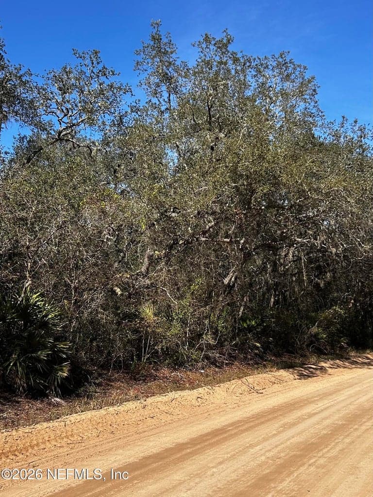 0 HALL LAKE Road, Keystone Heights, FL 32656
