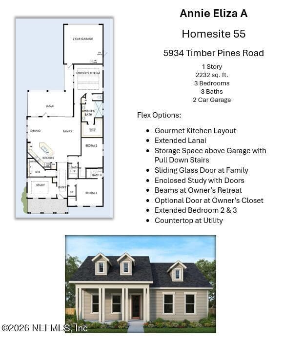 5934 TIMBER PINES Road, Jacksonville, FL 32224 2