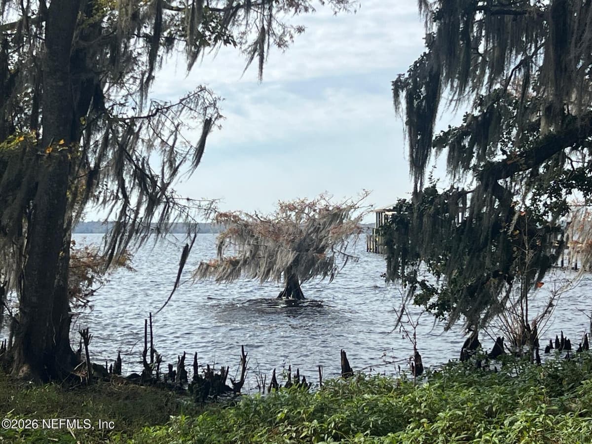 8379 COLEE Cove, St. Augustine, FL 32092 3
