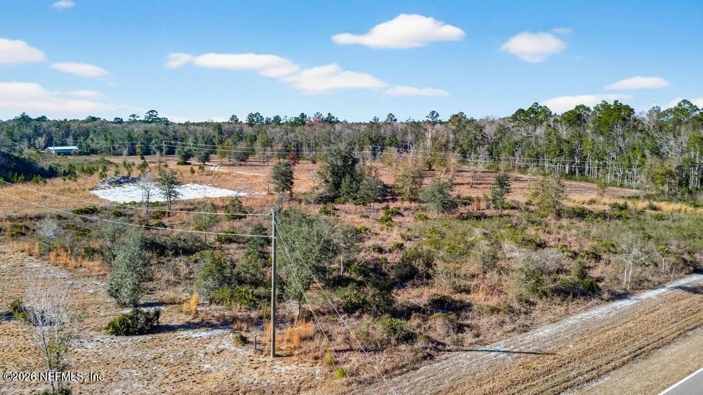 17692 COUNTY ROAD 121, Bryceville, FL 32009 3