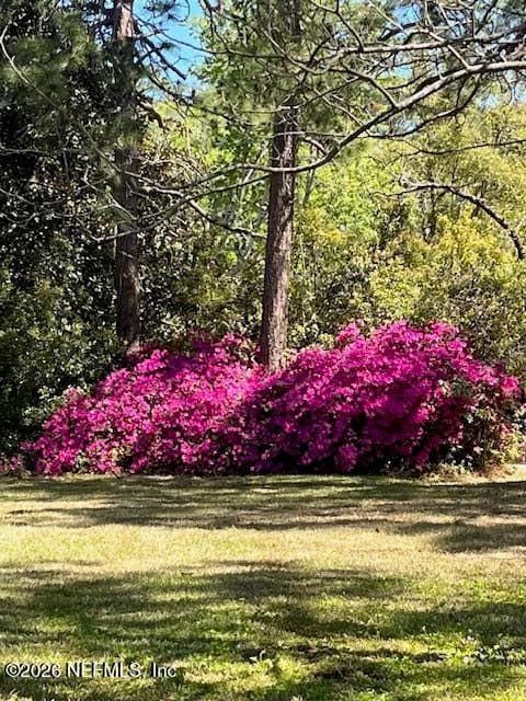 0 ALPHA Avenue, Jacksonville, FL 32205 2